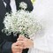 20 Pcs Babys Breath Artificial Flowers, Fake Babys Breath Flowers Artificial Bulk, Faux Gypsophila Babies Breath Real Touch Flowers for Wedding Bouquet Floral Arrangement Party Home Decor